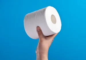 toaletni papir